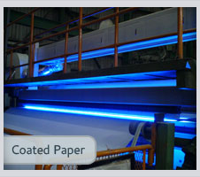 Coated Paper
