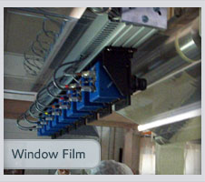 Window Film